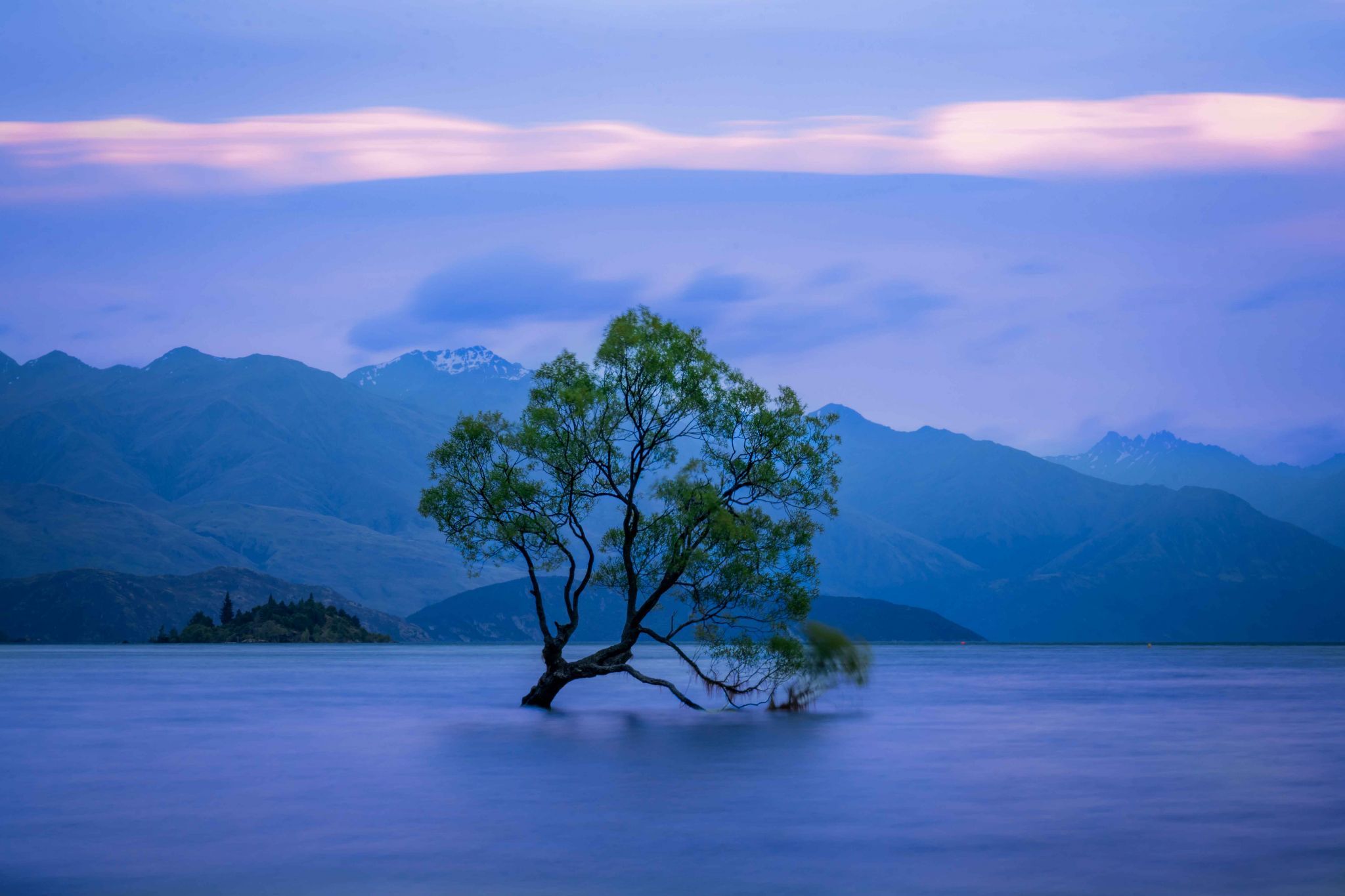 Lake Wanaka - The lonely Tree, New Zealand