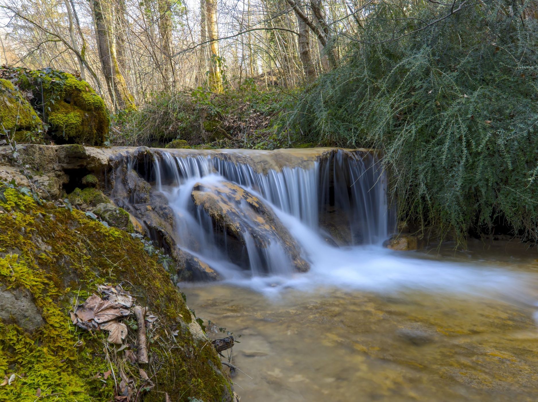 Erlenbacher Tobel, Switzerland