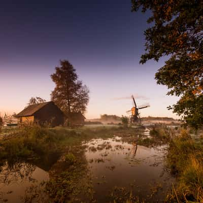 weerribben, Holland, Netherlands