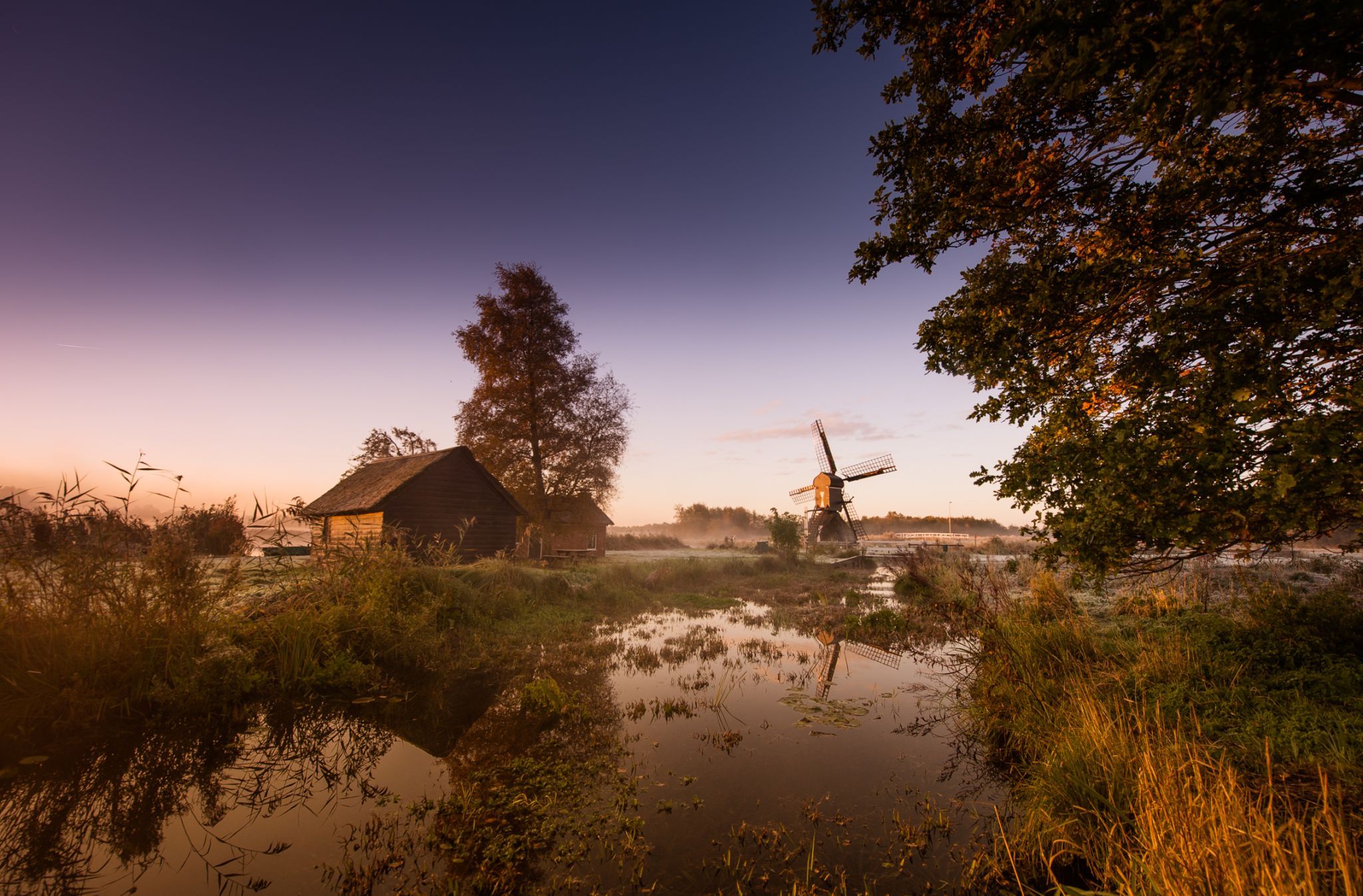 weerribben, Holland, Netherlands