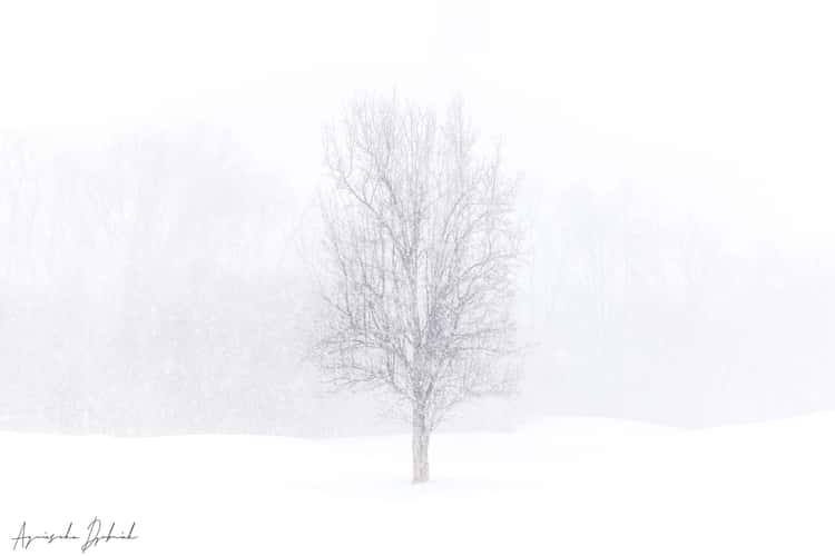 Winter in Bloomington