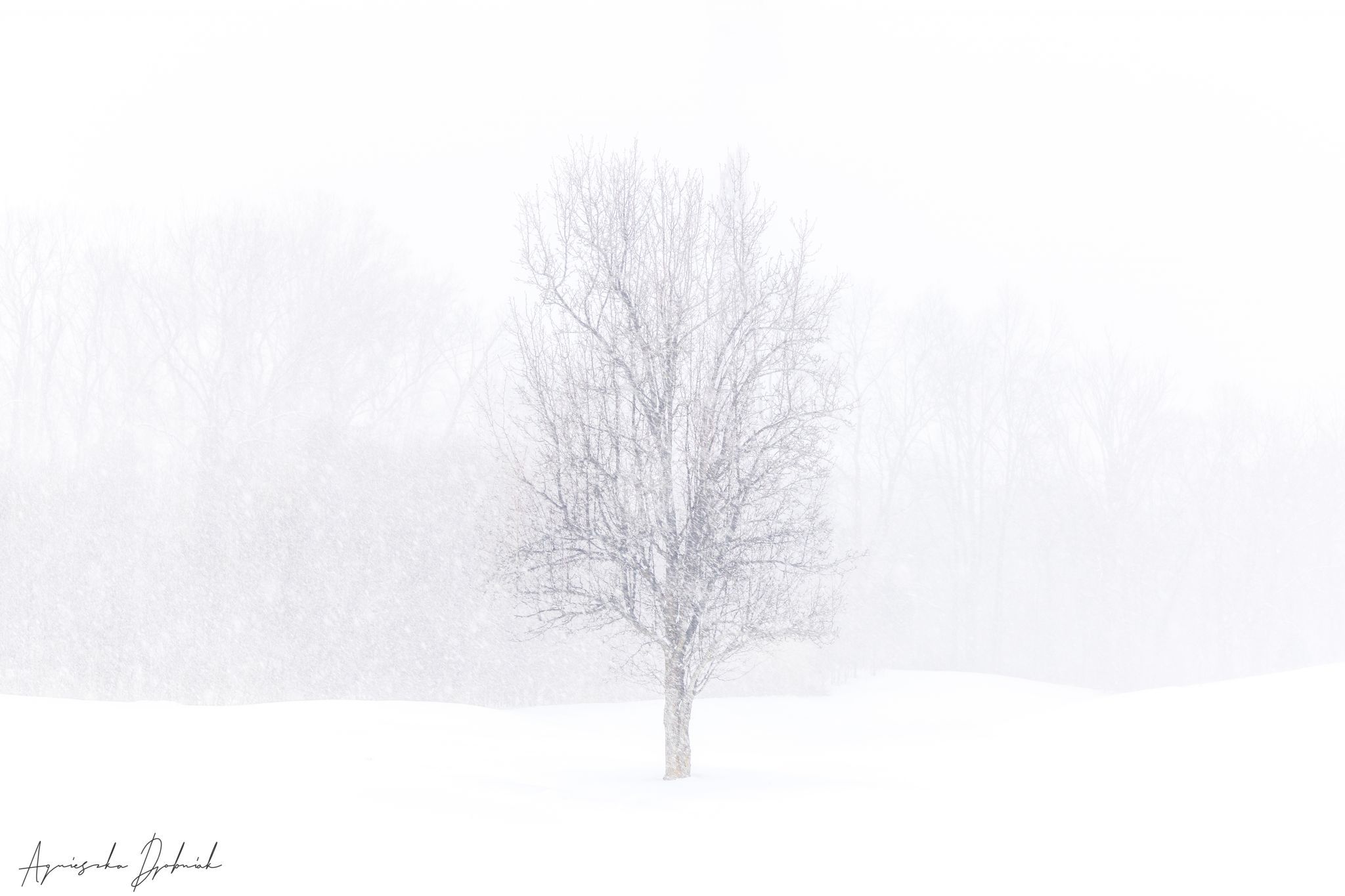 Winter in Bloomington, USA