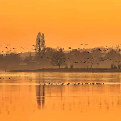 Bislicher Insel, Germany