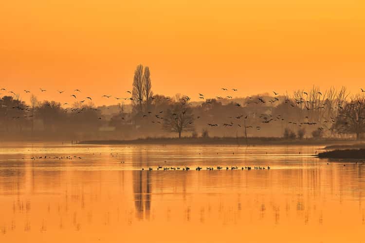 Bislicher Insel