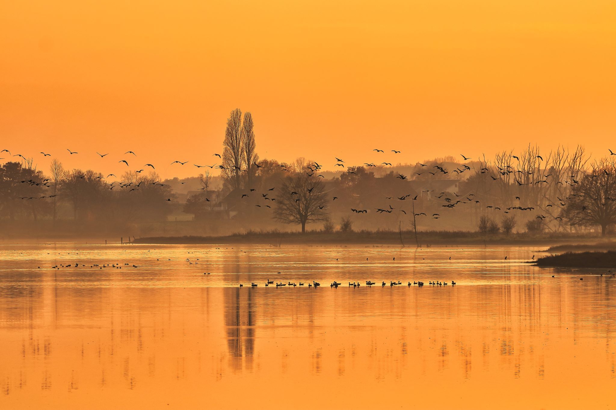 Bislicher Insel, Germany