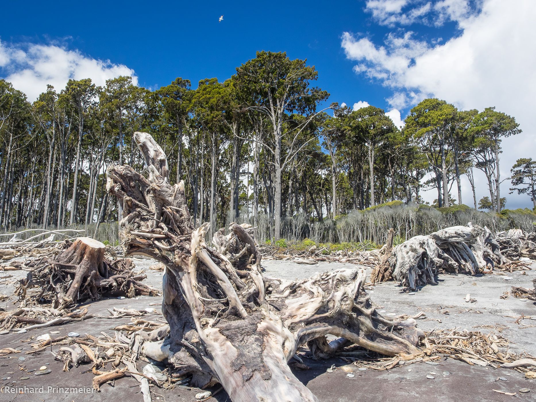 Bruce Bay, New Zealand