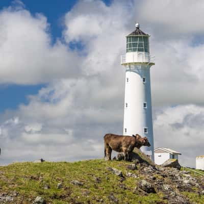 Cape Egmont Lighthouse, New Zealand