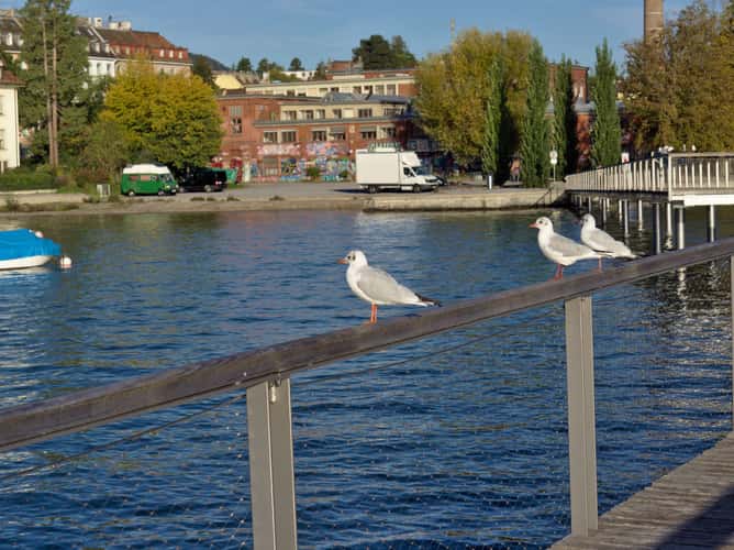 Cassiopeiasteg, Zürich