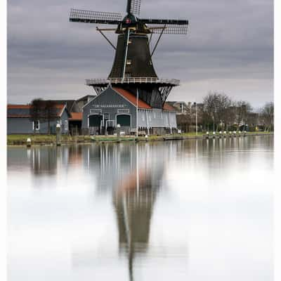 De Salamander' saw mill, Leidschendam, Netherlands