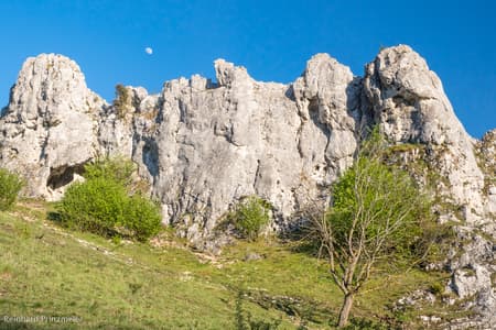 Eselsburg valley (Eselsburger Tal)