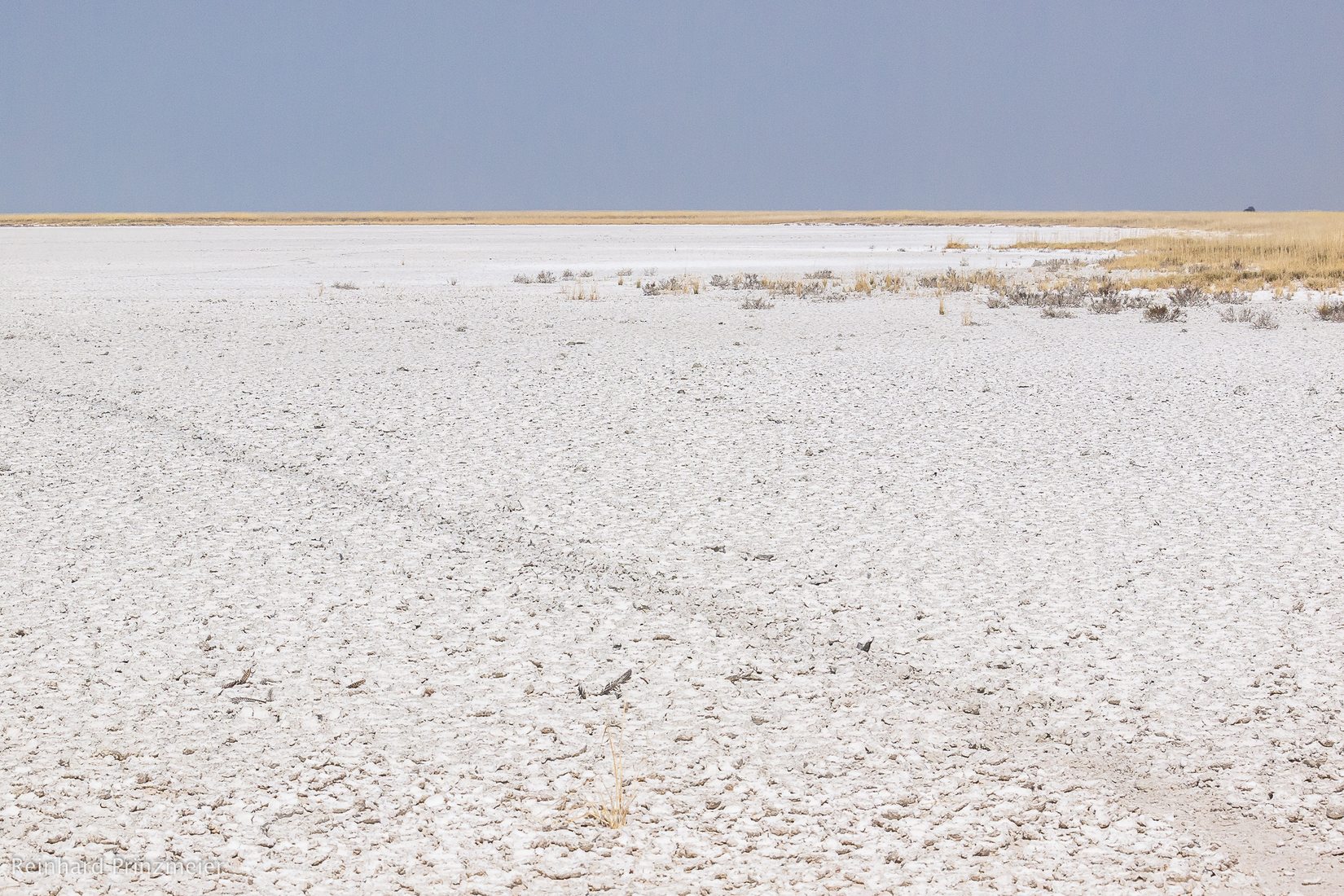 Fischer's Pan, Namibia