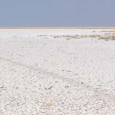 Fischer's Pan, Namibia