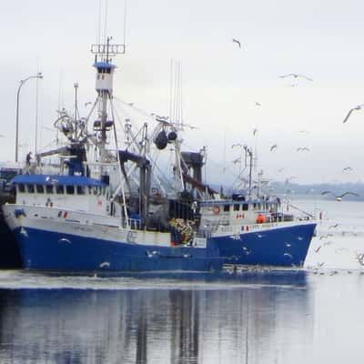 Fishing Vessel Yarmouth Harbour, Canada