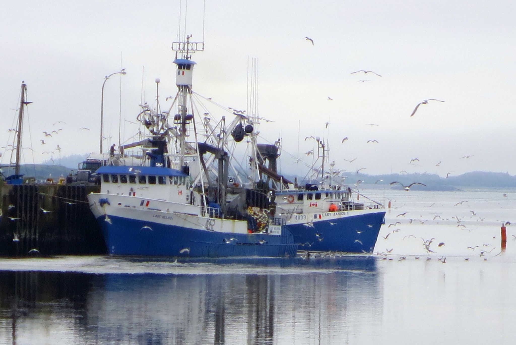 Fishing Vessel Yarmouth Harbour, Canada