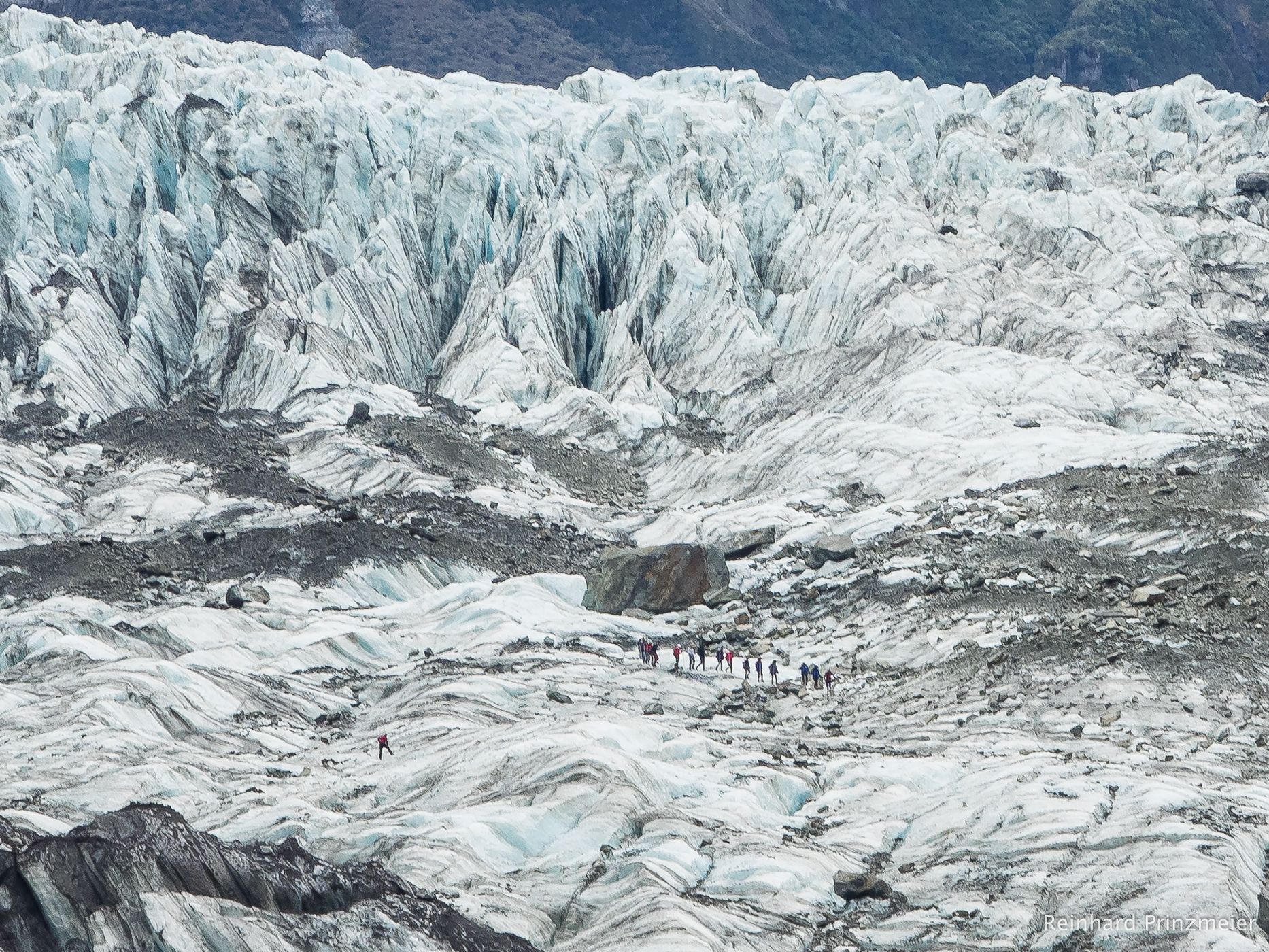 fox glacier, New Zealand