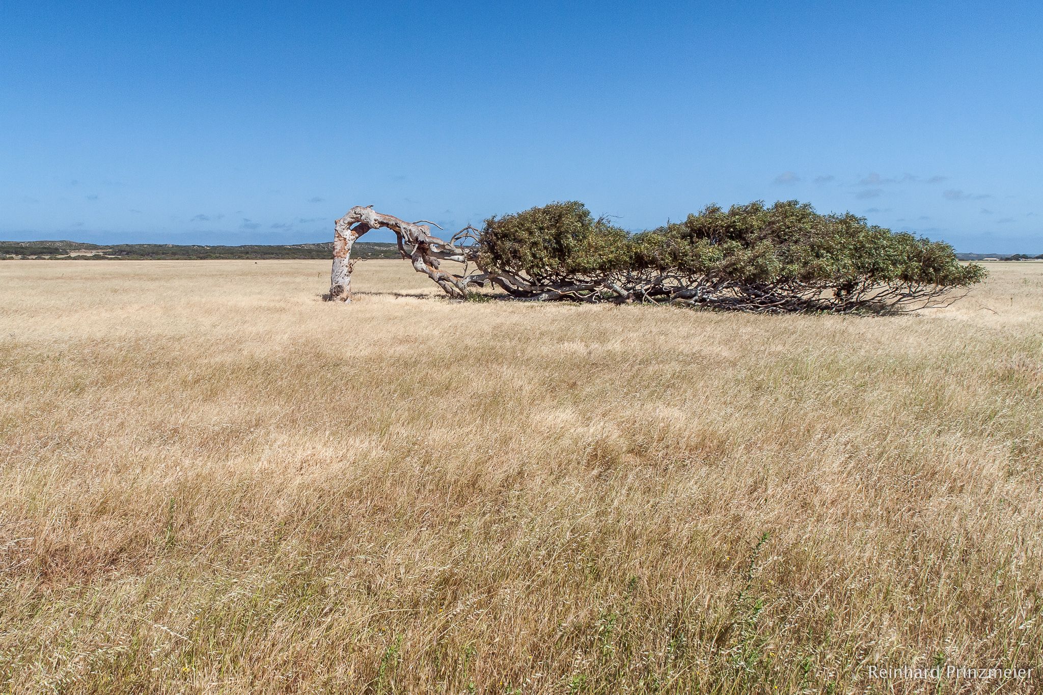 Greenough, Australia