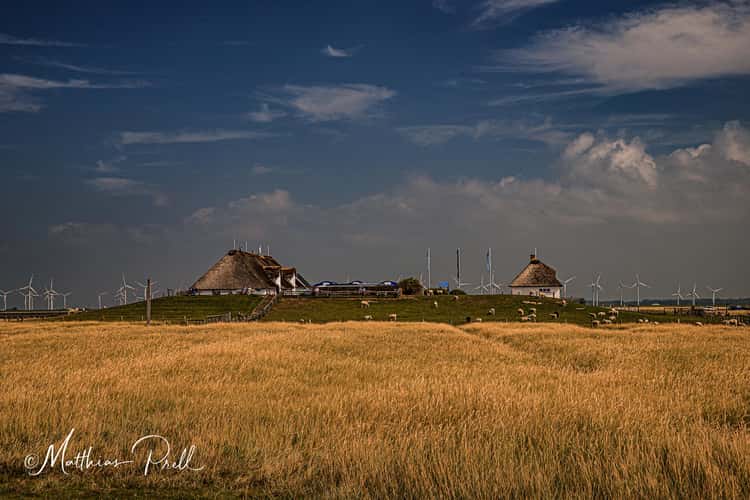 Hamburger Hallig