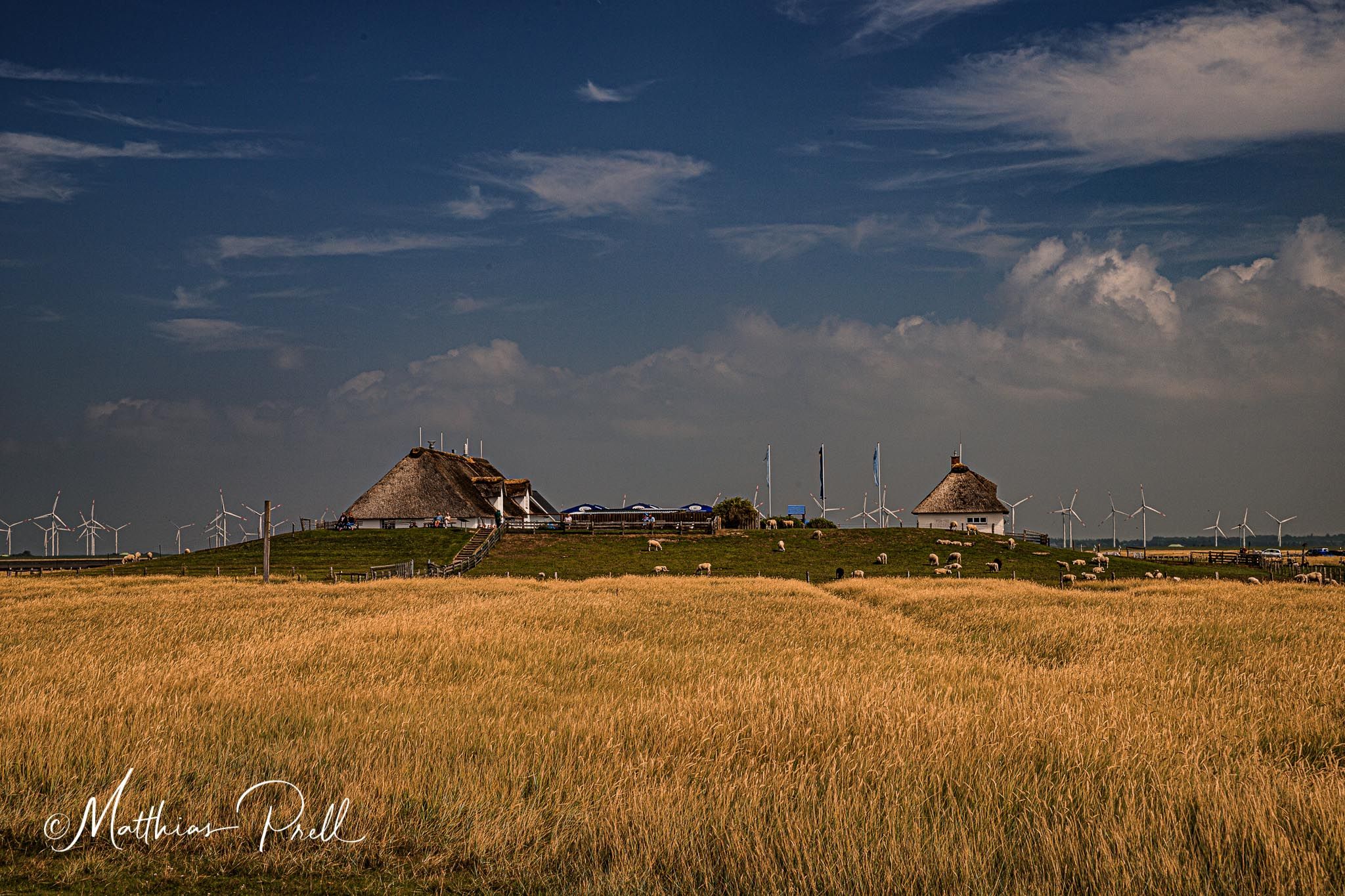 Hamburger Hallig, Germany