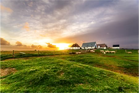 Hamburger Hallig