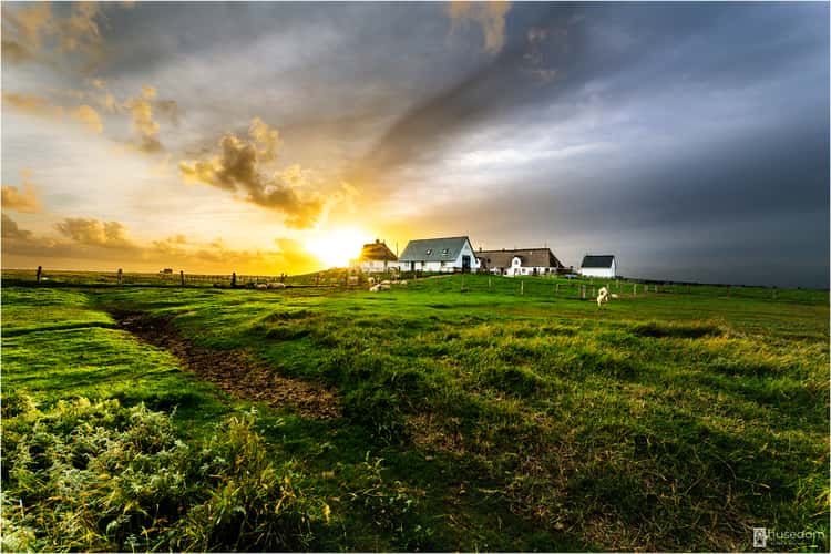Hamburger Hallig