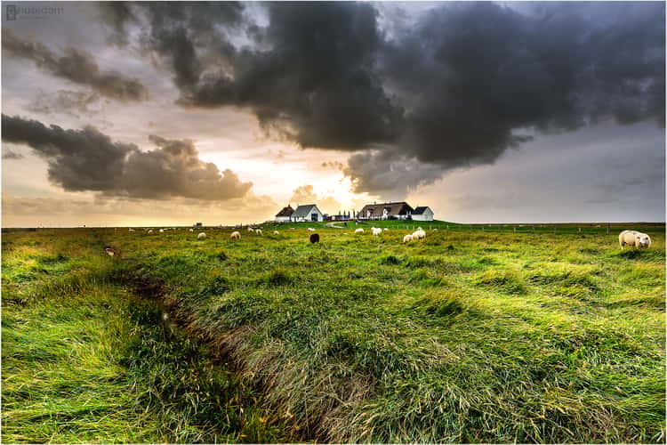 Hamburger Hallig
