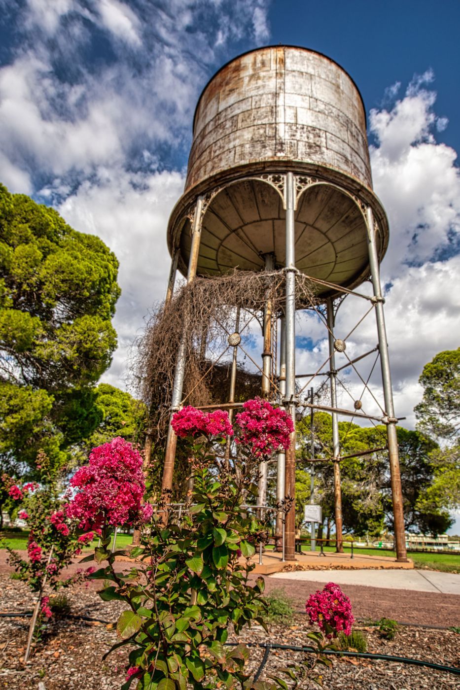Hay Park water tower Hay New South Wales, Australia