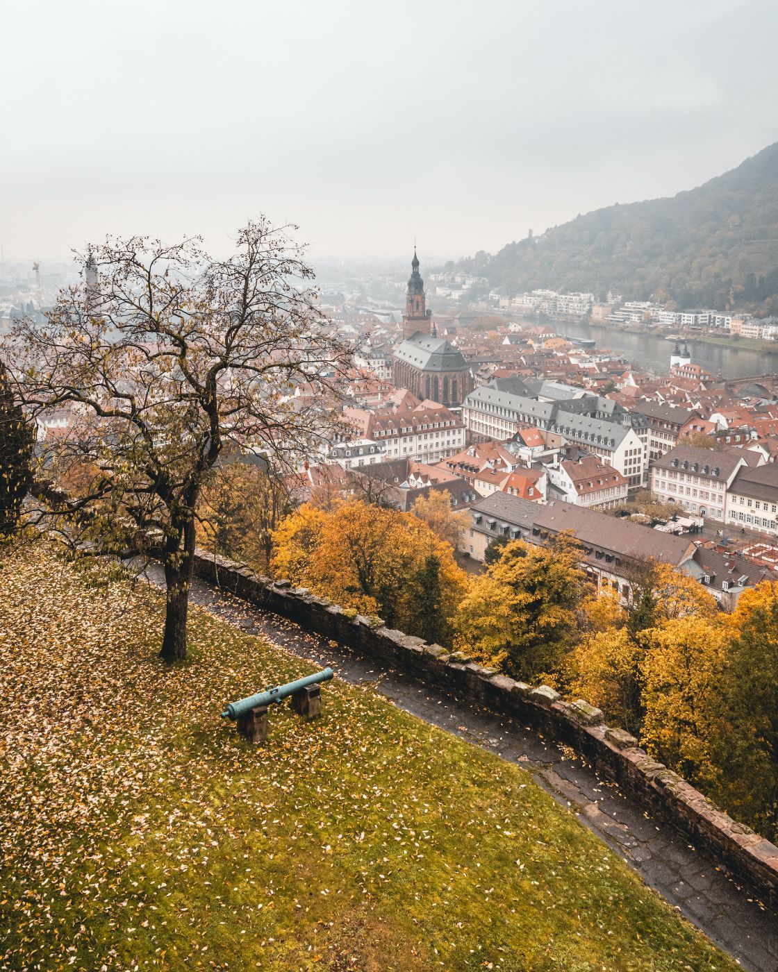 Castle Viewpoint, Heidelberg, Germany