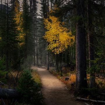 Hiking Trail Rocky Mountain National Park, USA