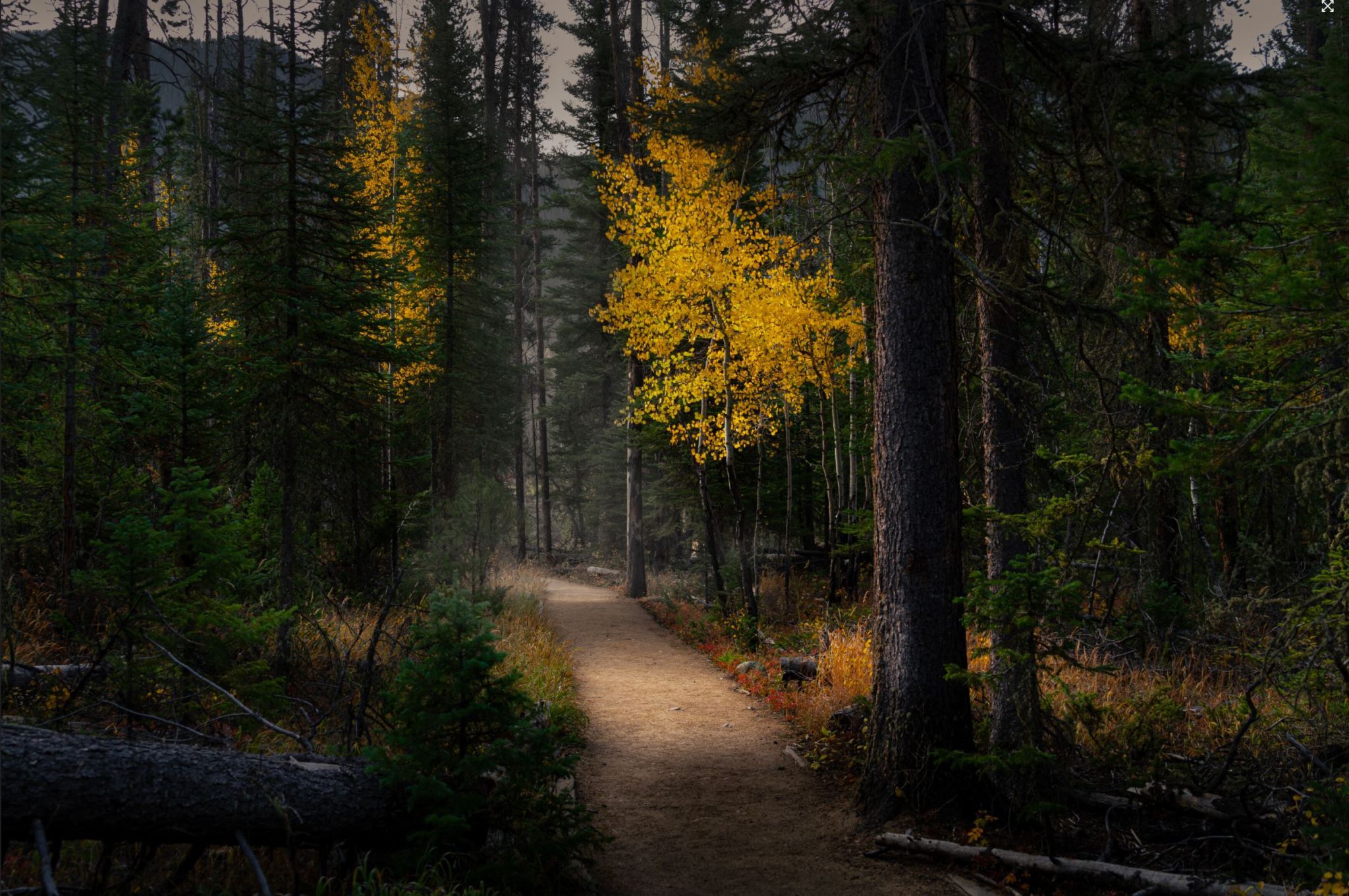 Hiking Trail Rocky Mountain National Park, USA