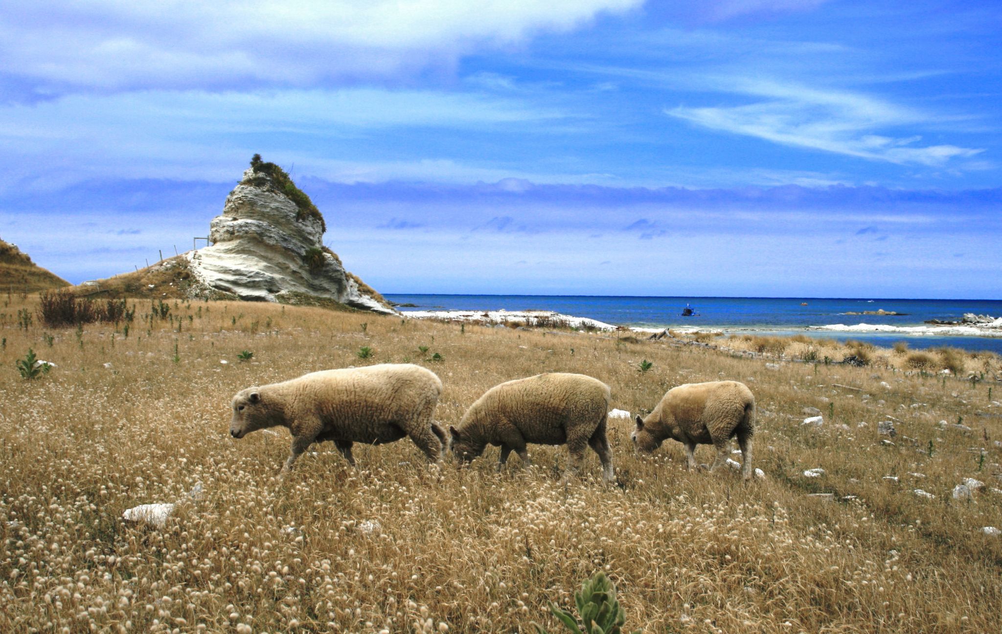 Kaikoura Peninsula, New Zealand