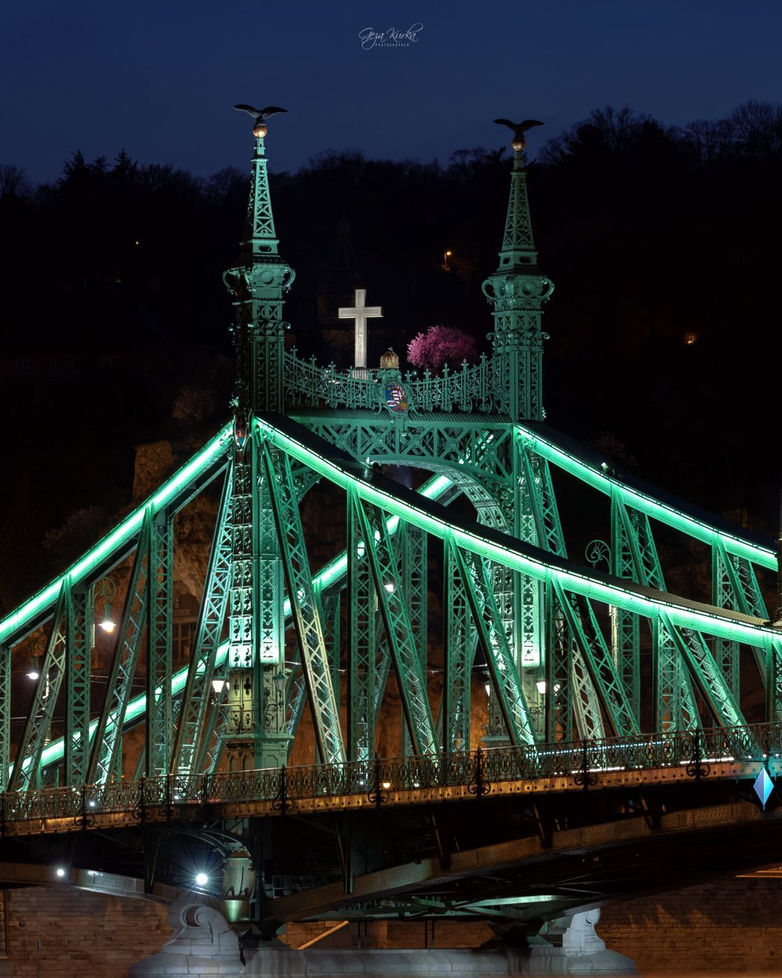 Liberty bridge in Budapest, Hungary