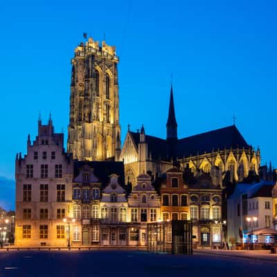 St. Rumbold's Cathedral