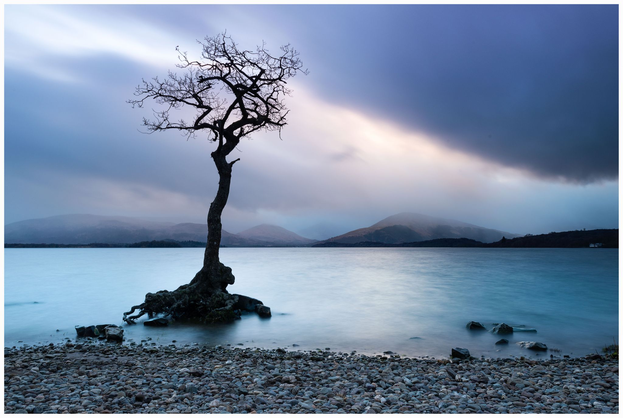 The lonely tree of Milarochy Bay, United Kingdom