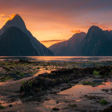 Milford Sound Sunrise at low Tide South Island, New Zealand