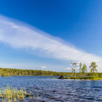 Øvre Pasvik National Park, Norway