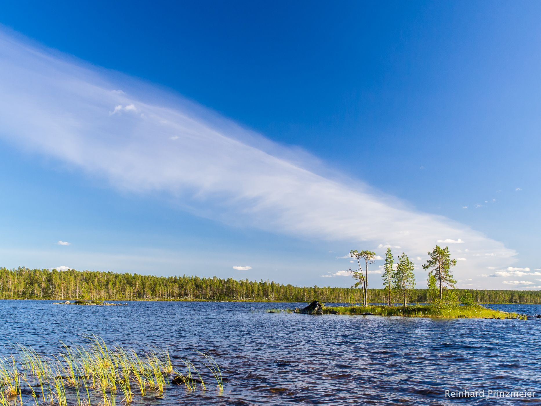 Øvre Pasvik National Park, Norway