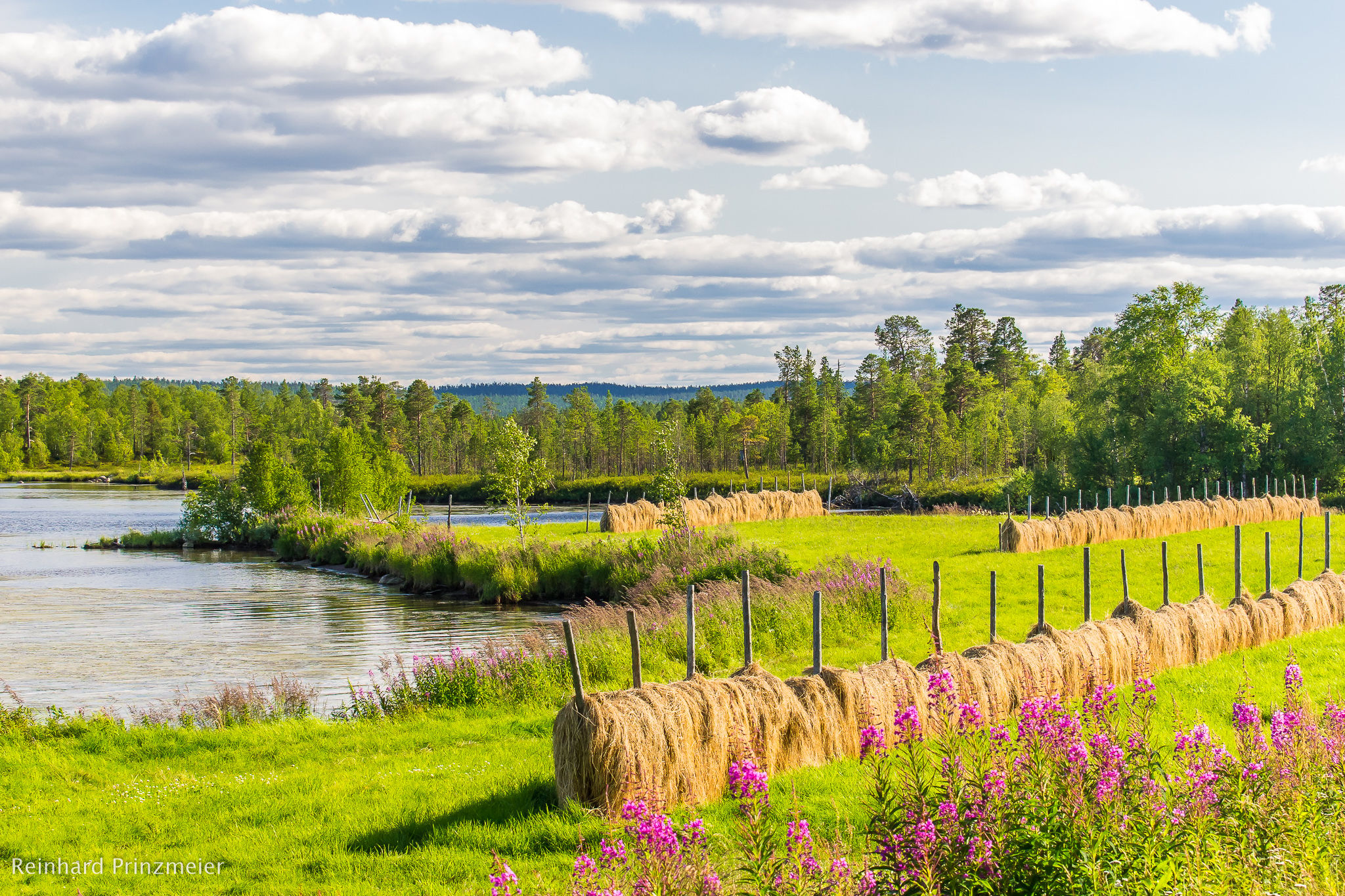 Pasvik valley, Norway