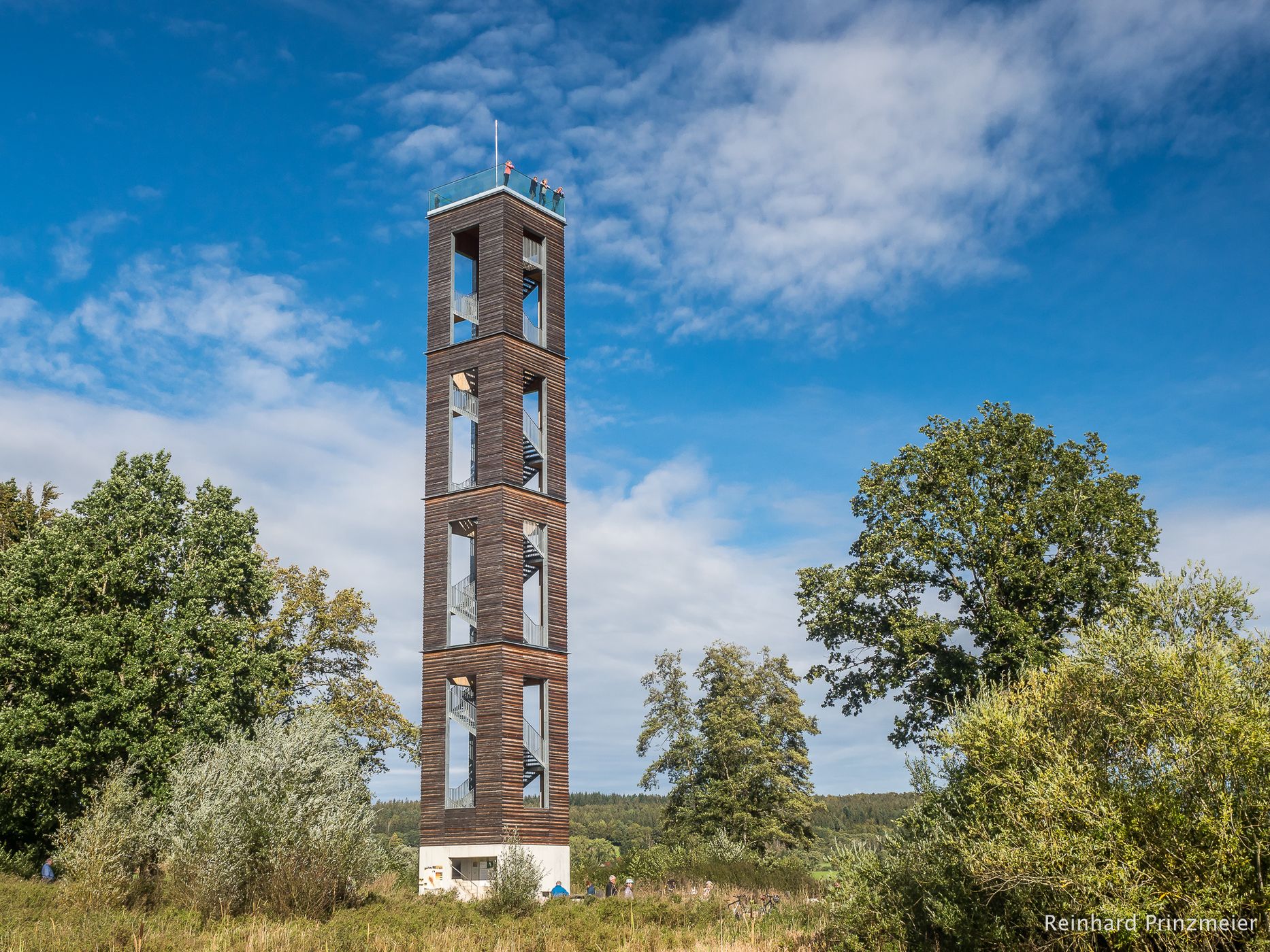 Pfrunger-Burgweiler-Ried banned forest, Germany