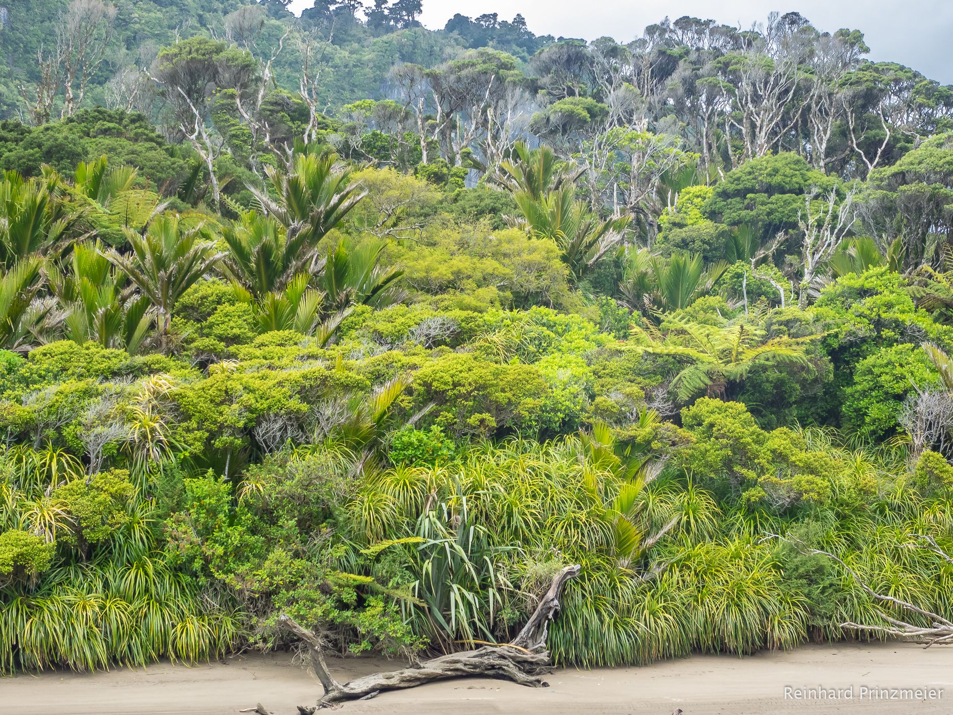 Pororari River Track, New Zealand