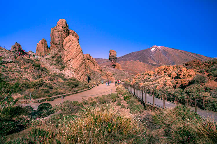 Roque Chinchado