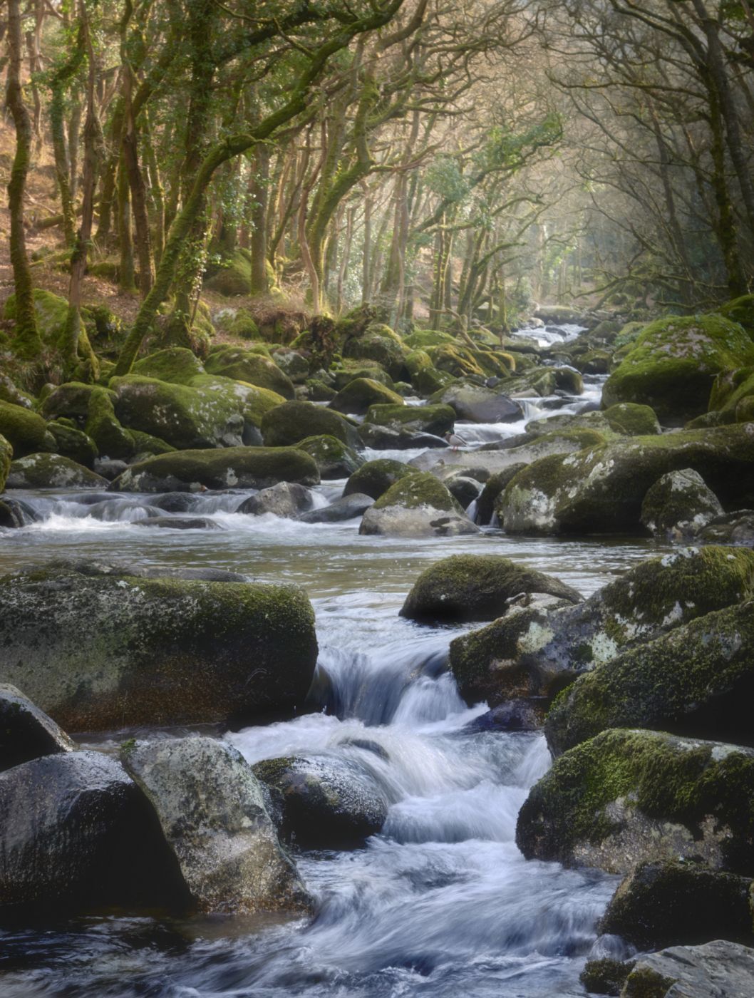 Shaugh Prior Bridge, United Kingdom