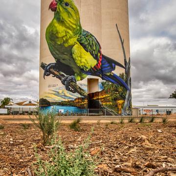 Silo Art Parrot Waikerie New South Wales, Australia