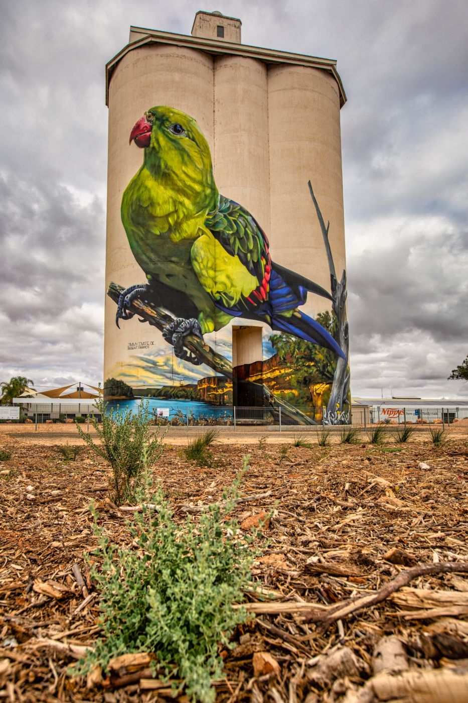 Silo Art Parrot Waikerie New South Wales, Australia