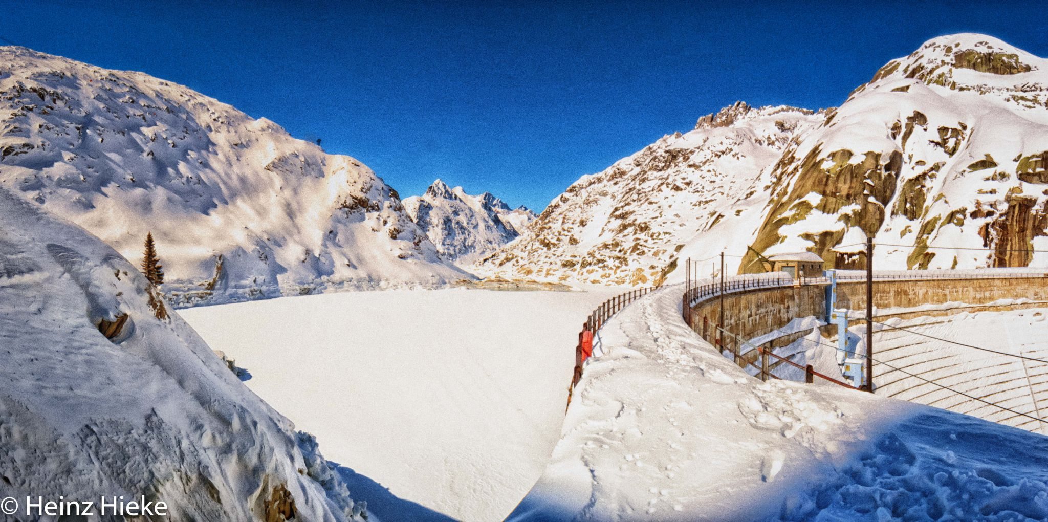 Spitallamm, Switzerland