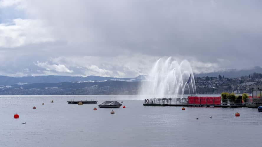 Springbrunnen Aquaretum, Zürich