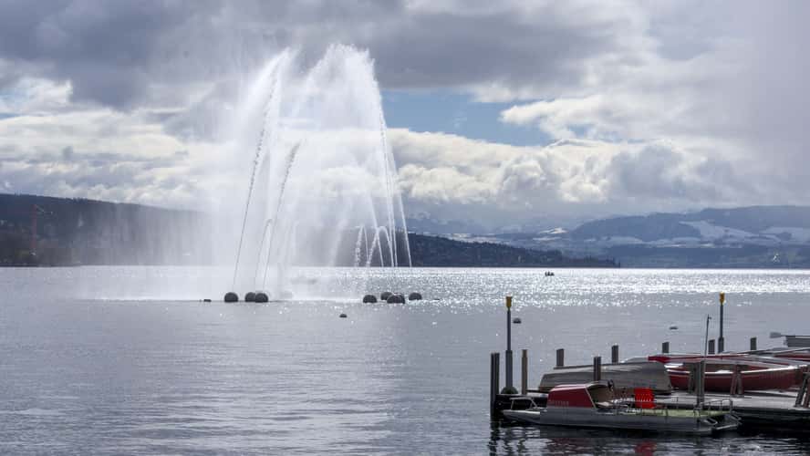 Springbrunnen Aquaretum, Zürich