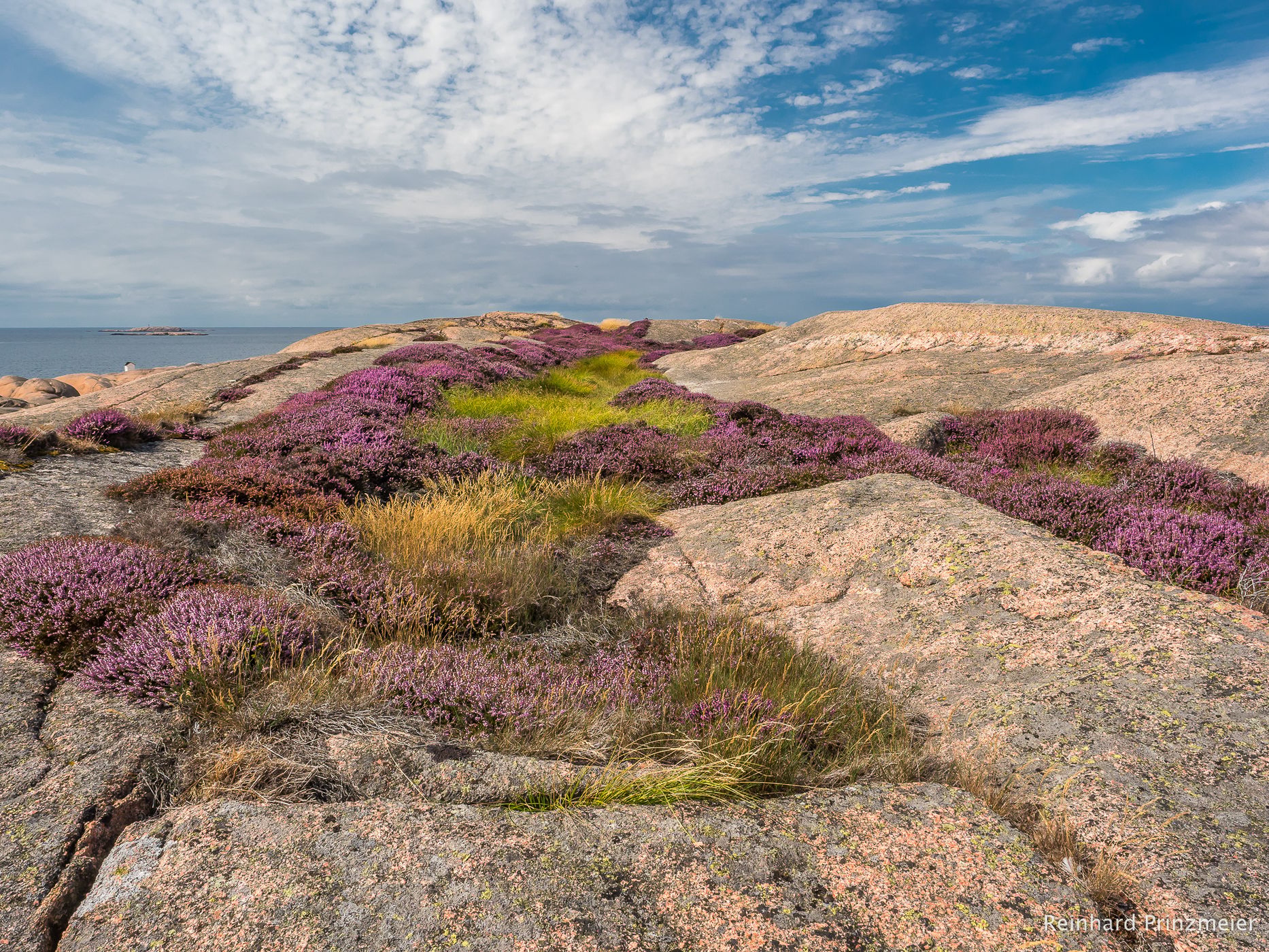 Stångehuvud Nature Reserve, Sweden