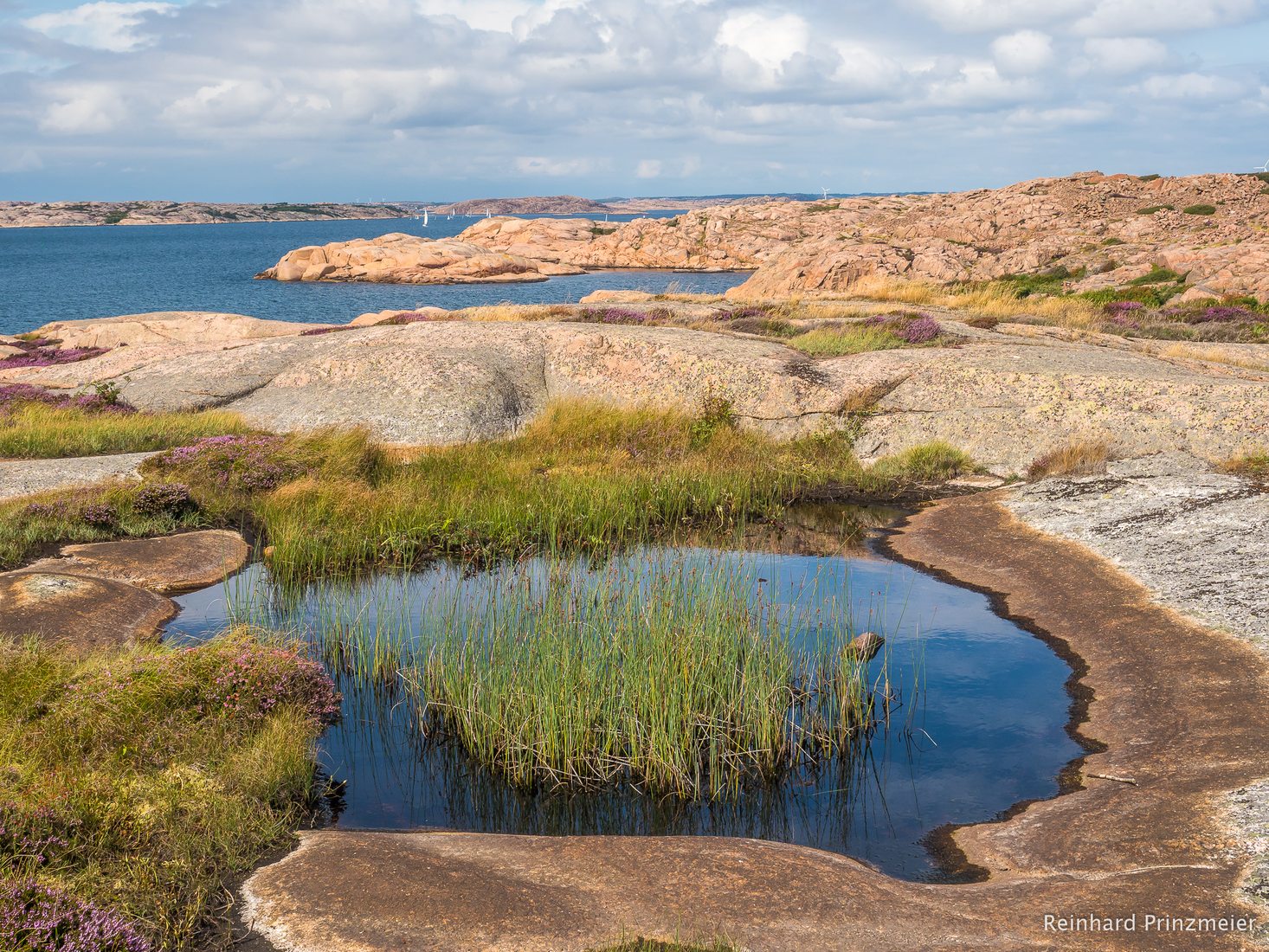 St ngehuvud Nature Reserve Sweden st-ngehuvud-nature-reserve-sweden