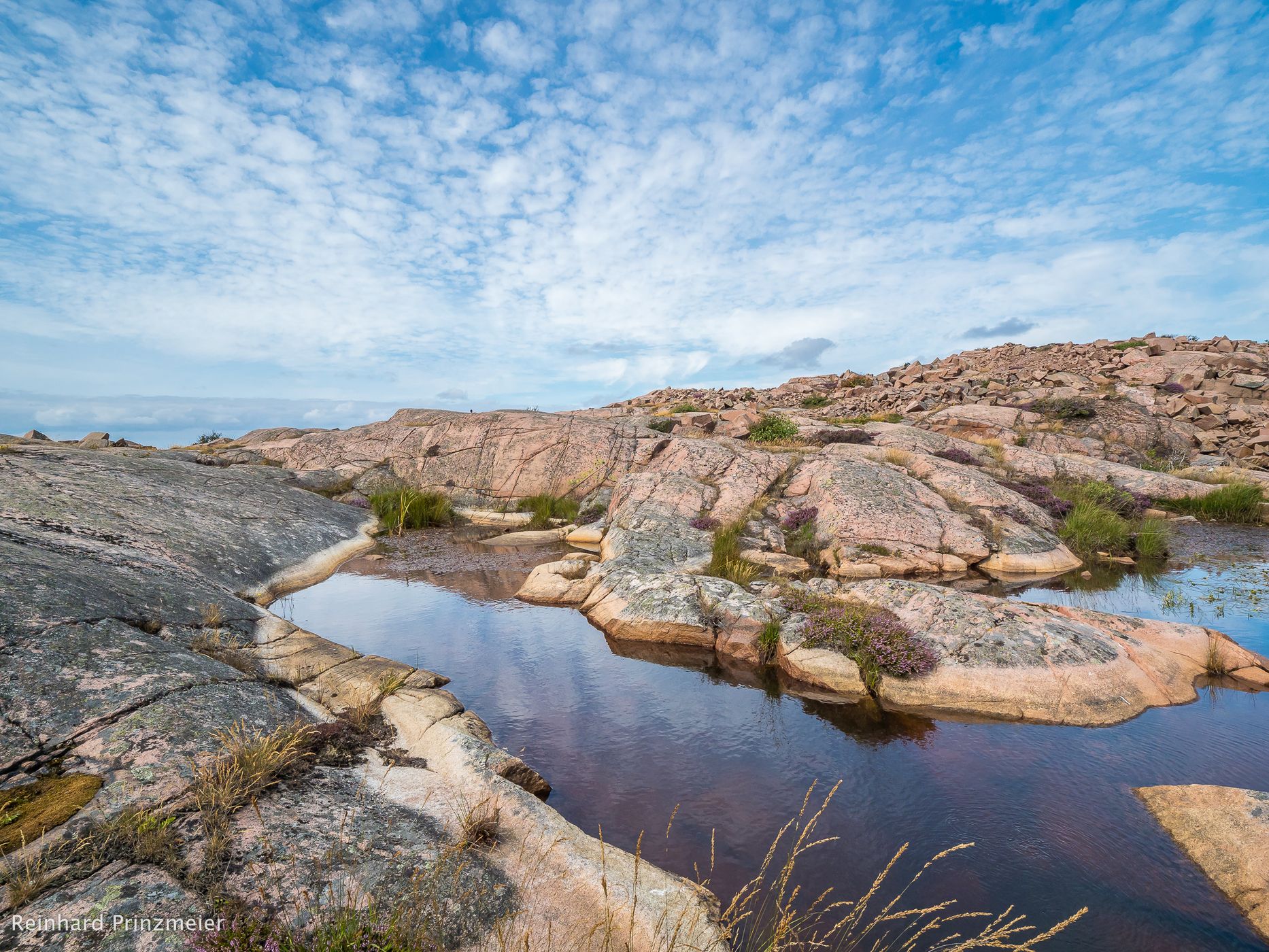 Stångehuvud Nature Reserve, Sweden