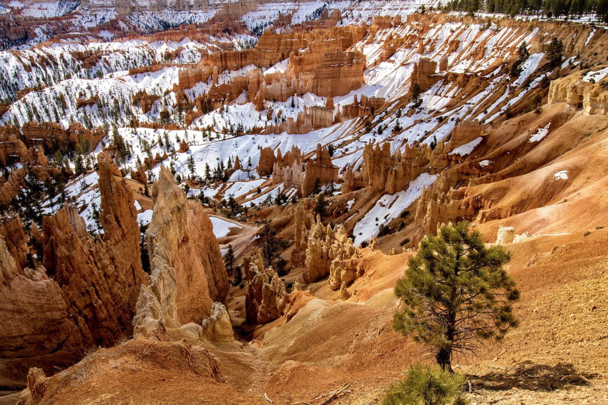 Sunrise Point, Bryce Canyon, Utah, USA